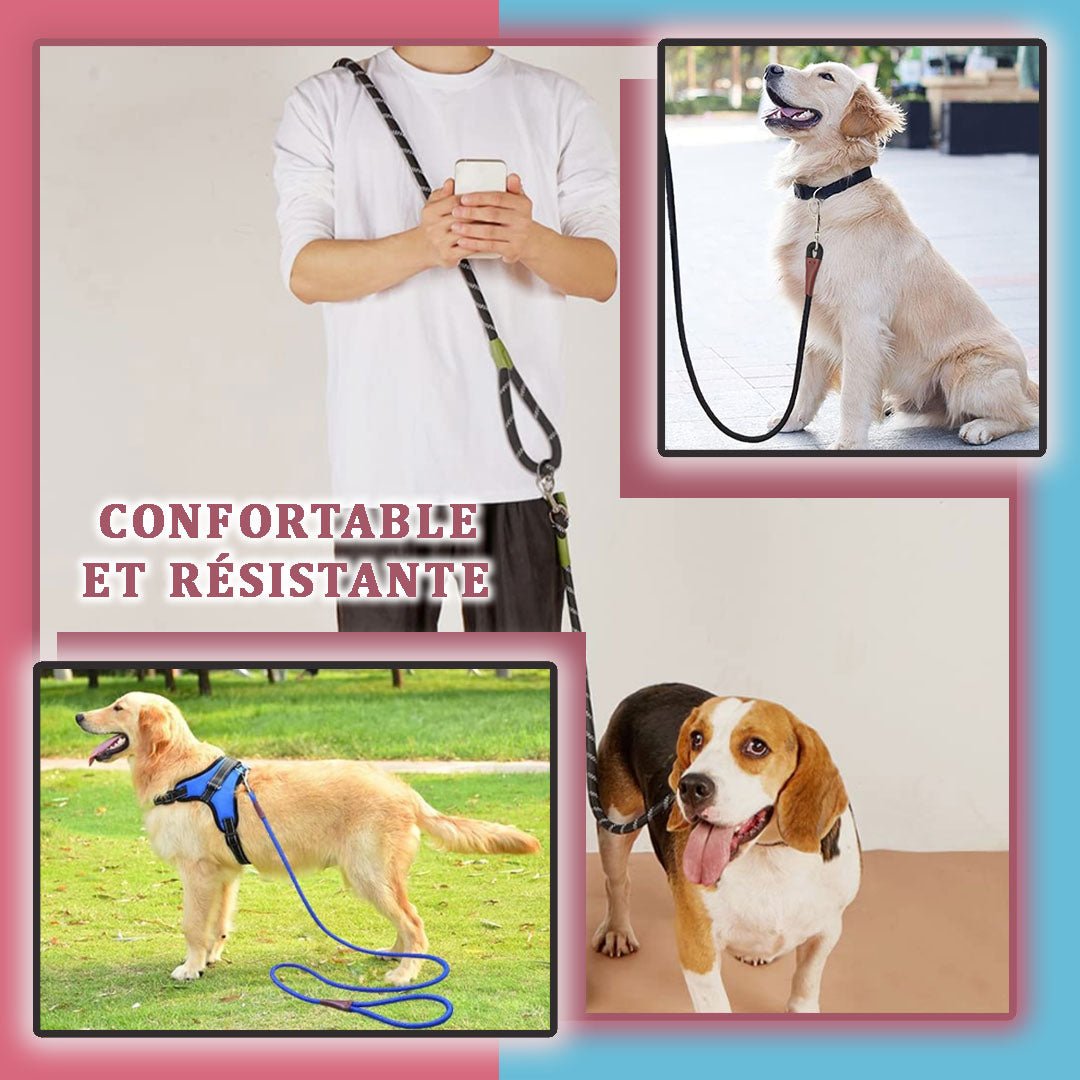 Laisse pour chien - Refletcorde™ - Je Promène Mon Chien