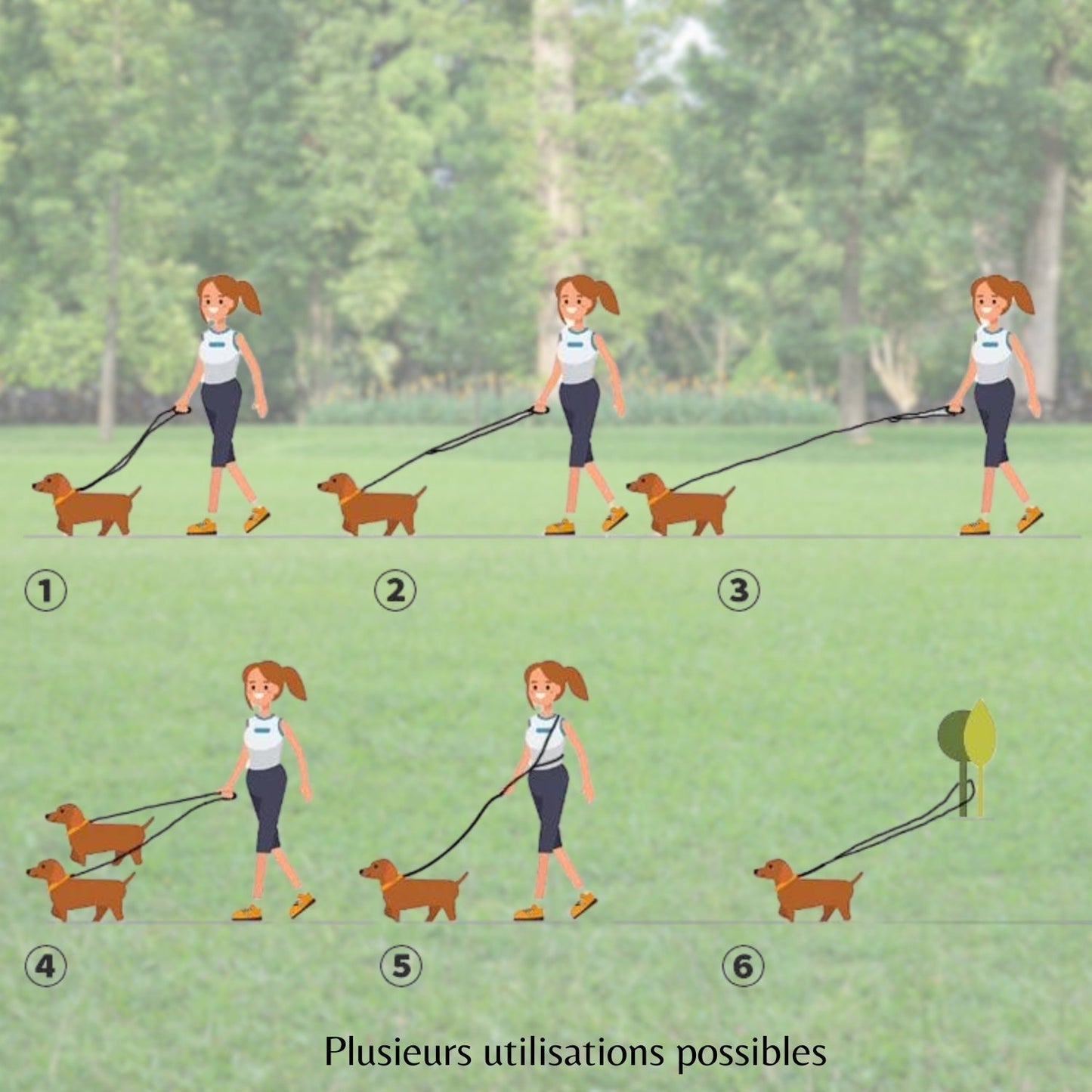 Laisse pour chien - Refletcorde™ - Je Promène Mon Chien
