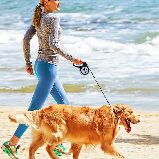chien en laisse en bord de mer avec sa maitresse