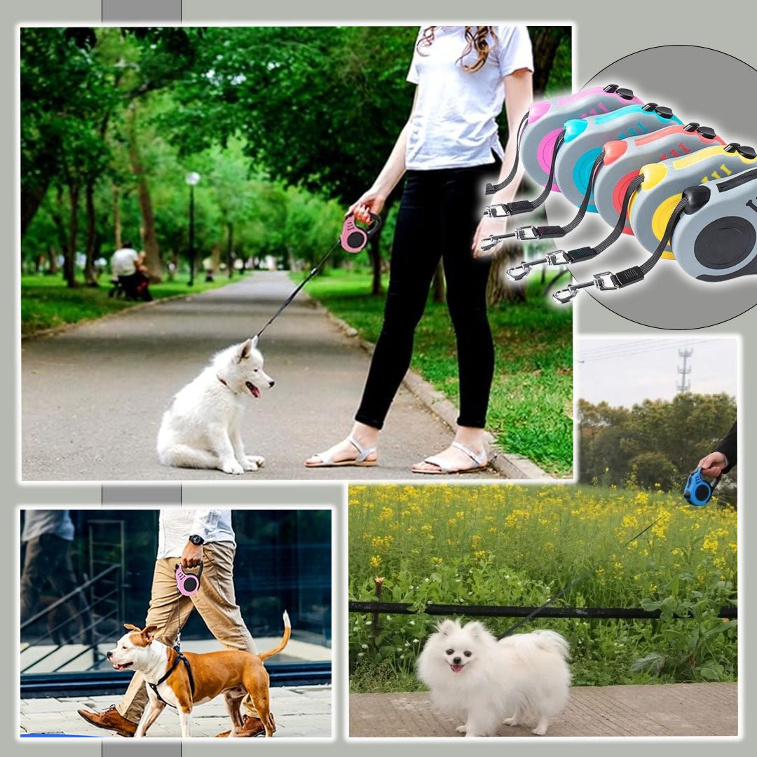 Laisse pour chien | Vespertrek™ - Je Promène Mon Chien