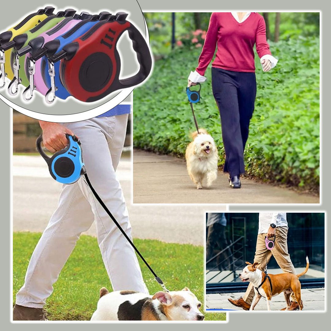 Laisse pour chien | Vespertrek™ - Je Promène Mon Chien