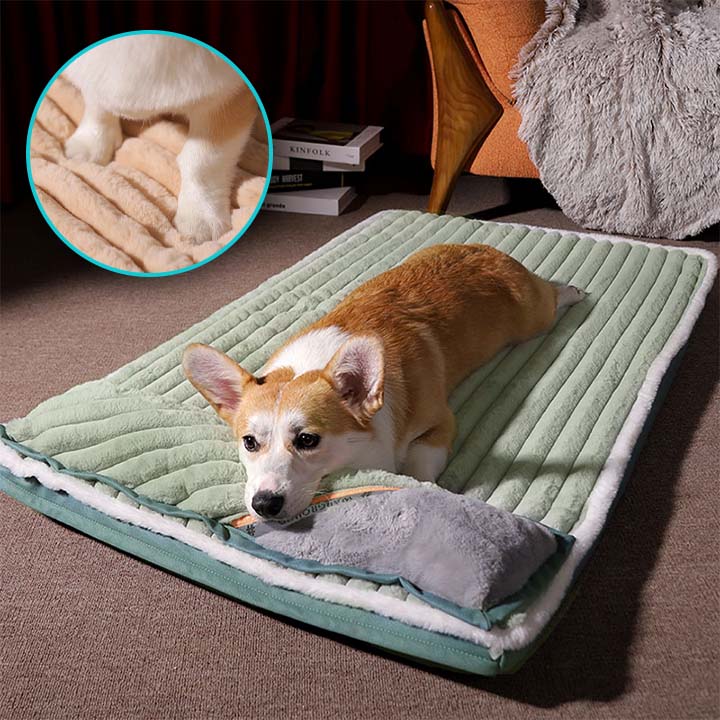 lit pour chien confortable et doux
