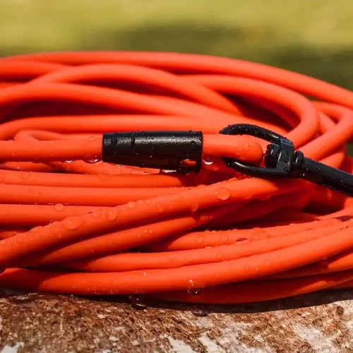 Longe pour chien | Robuste & Confortable