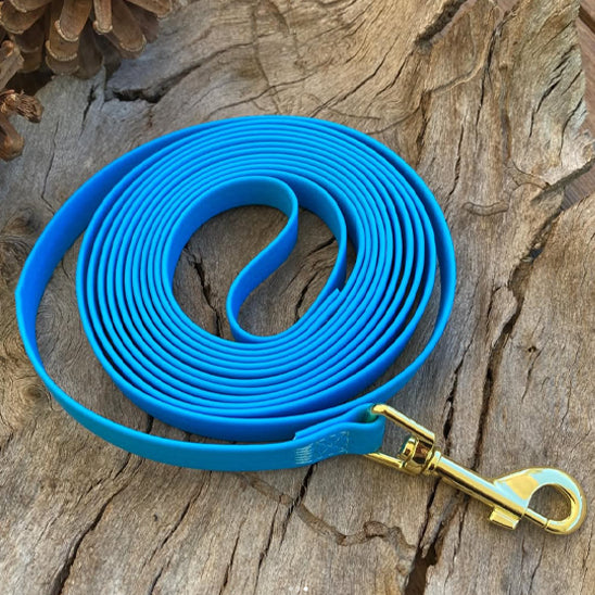 Longe pour chien | Vacances™