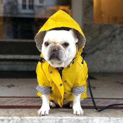 manteau chien ciré jaune avec capuche