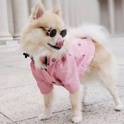 manteau chien ciré rose petit chien stylé