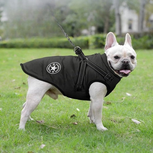 Manteau Chien | MaxiToutâą