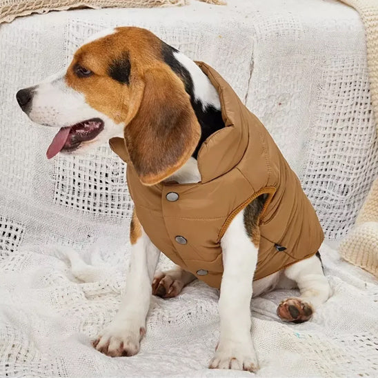 Manteau pour chien | Imperméable Hivernal