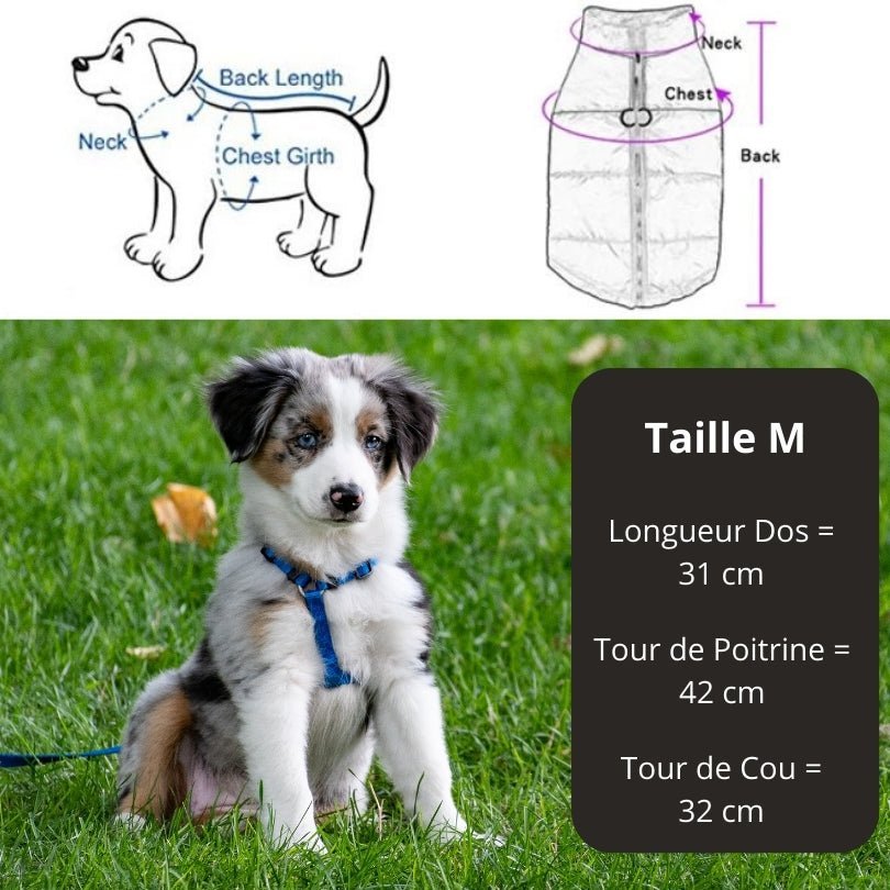 Manteau pour chien - Mantelure™ - doudoune petit chien - Je Promène Mon Chien