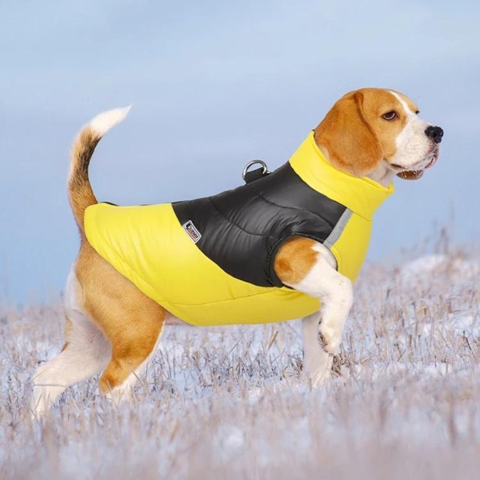 Manteau pour chien - Mantelure™ - doudoune petit chien - Je Promène Mon Chien