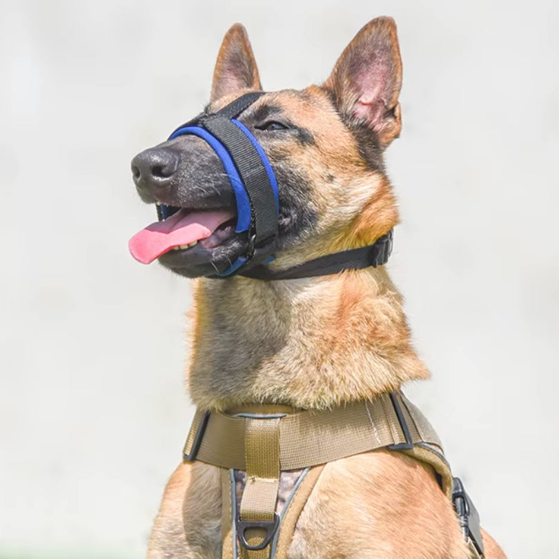 Muselière | Sérénité™