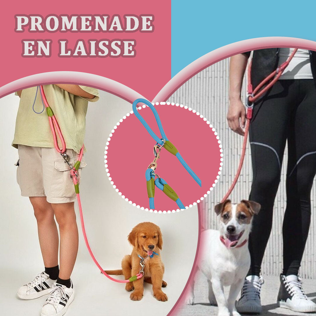 LAISSE POUR CHIEN | REFLETCORD™ - Je Promène Mon Chien