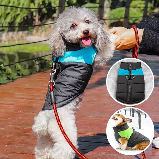 Manteau pour chien | PawStyle™