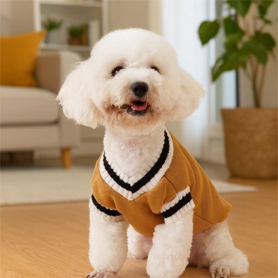 Pull pour chien | Style Canin