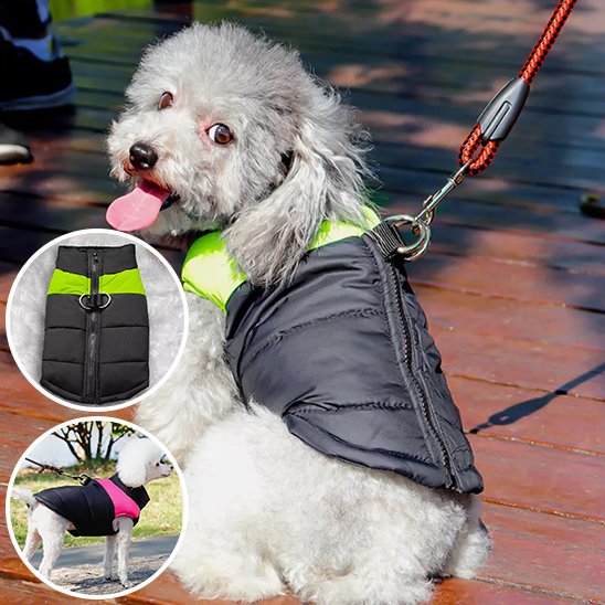 Manteau pour chien | PawStyle™