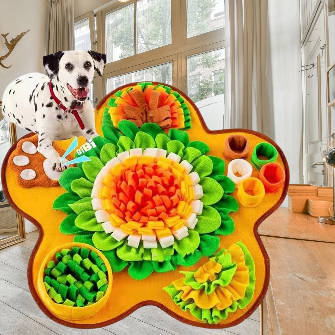 Tapis de fouille chien | Sensiflor™ - Je Promène Mon Chien