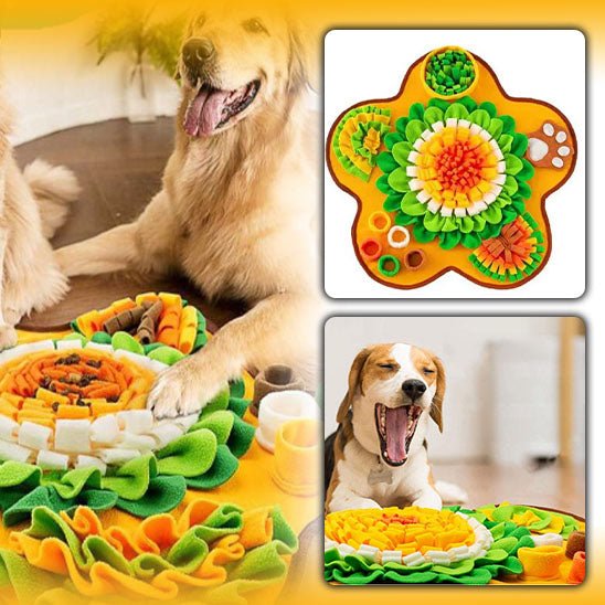 Tapis de fouille chien | Sensiflor™ - Je Promène Mon Chien