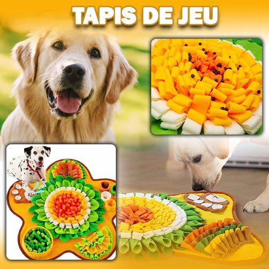 Tapis de fouille chien | Sensiflor™ - Je Promène Mon Chien