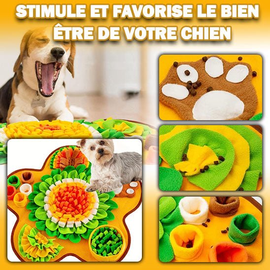 Tapis de fouille chien | Sensiflor™ - Je Promène Mon Chien