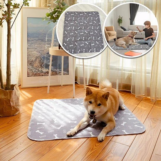 Tapis pour chien | Luckyabsorb™ - Je Promène Mon Chien