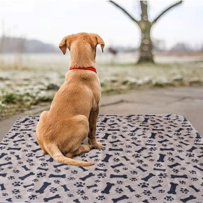 Tapis pour chien Luckyabsorb extérieur chien assis