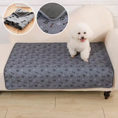 Tapis pour chien Luckyabsorb petit chien blanc assis sur canapé
