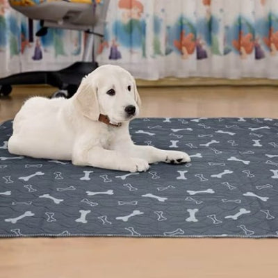 Tapis pour chien Luckyabsorb chien blanc couché intérieur