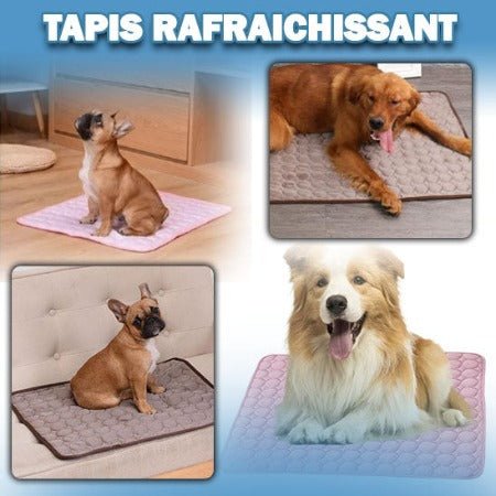 Tapis pour chien | Revigore™ - Je Promène Mon Chien