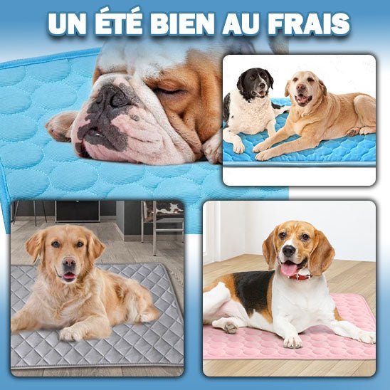 Tapis pour chien | Revigore™ - Je Promène Mon Chien