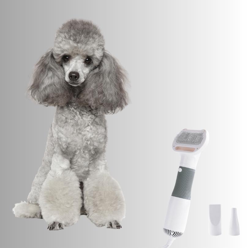 Brosse pour chien | DryerBrush™ - Je Promène Mon Chien