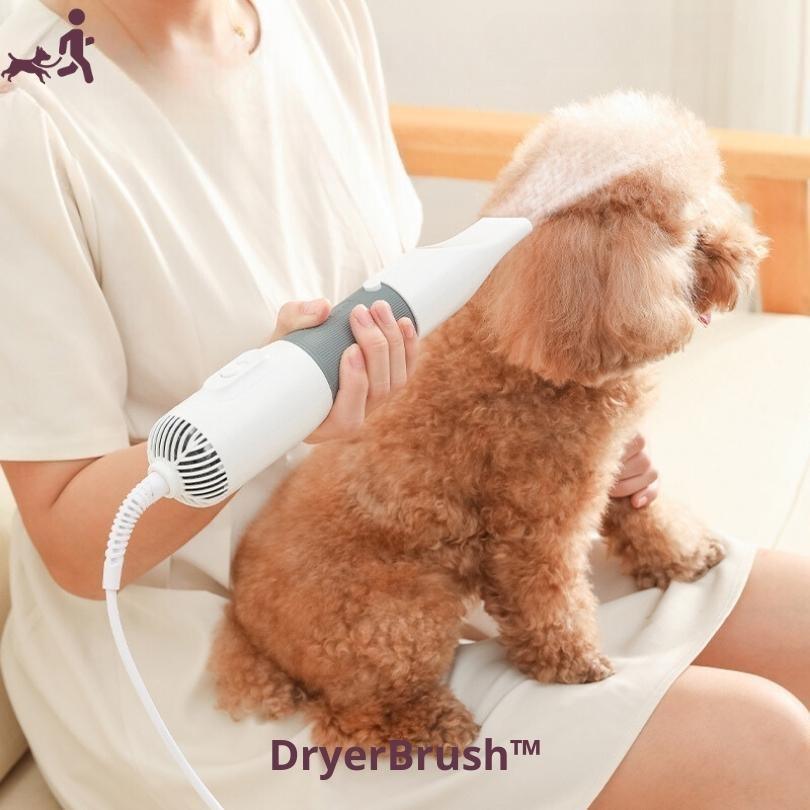 Brosse pour chien | DryerBrush™ - Je Promène Mon Chien