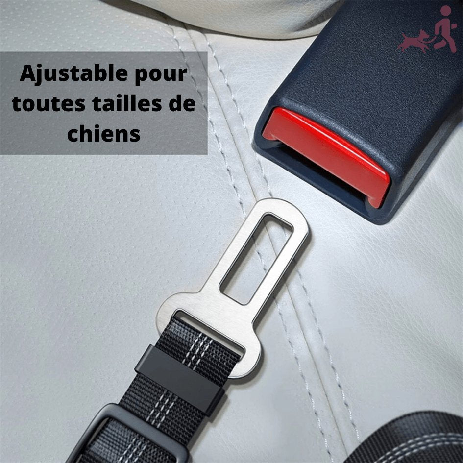 Ceinture de sécurité pour chien | Sécurvoyage™ - Je Promène Mon Chien