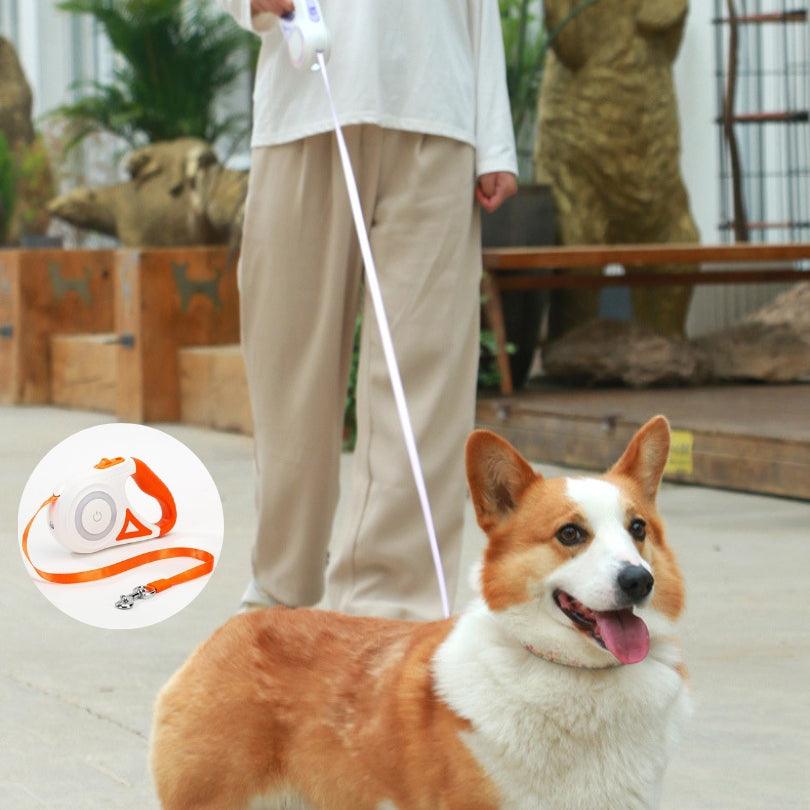 Laisse chien | LaissEclaire™ - Je Promène Mon Chien