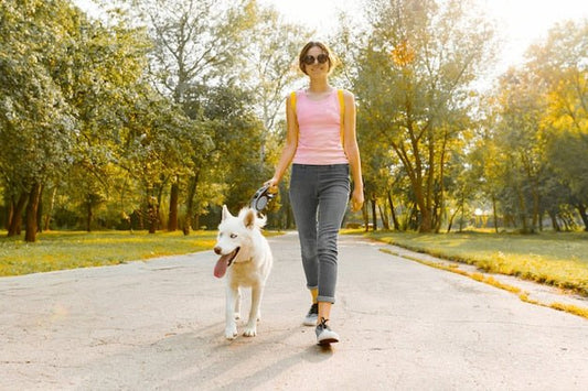 Apprendre à marcher en laisse à votre chiot - Je Promène Mon Chien
