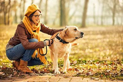 Laisse pour chien - Je Promène Mon Chien