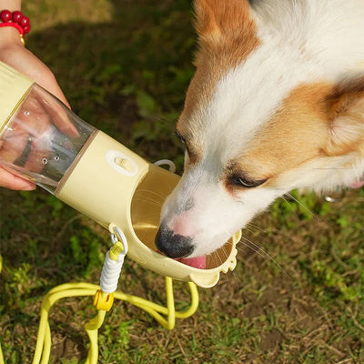 Gourde pour chien