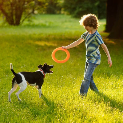 enfant avec le jouet pour chien en forme d'anneau pour amuser son chien