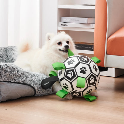 Balle pour chien | Dentaballe™