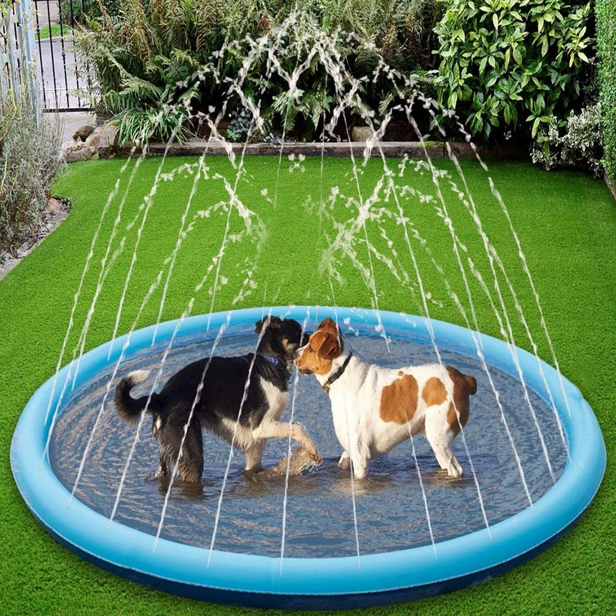 Piscine pour chien | Coolpet™ - Je Promène Mon Chien