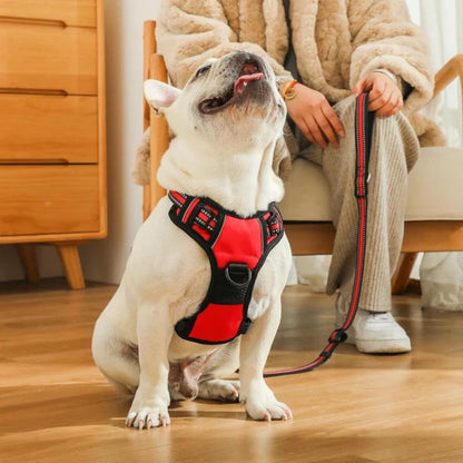 HARNAIS CHIEN ANTI TRACTION | SAFEWALK™ - Je Promène Mon Chien