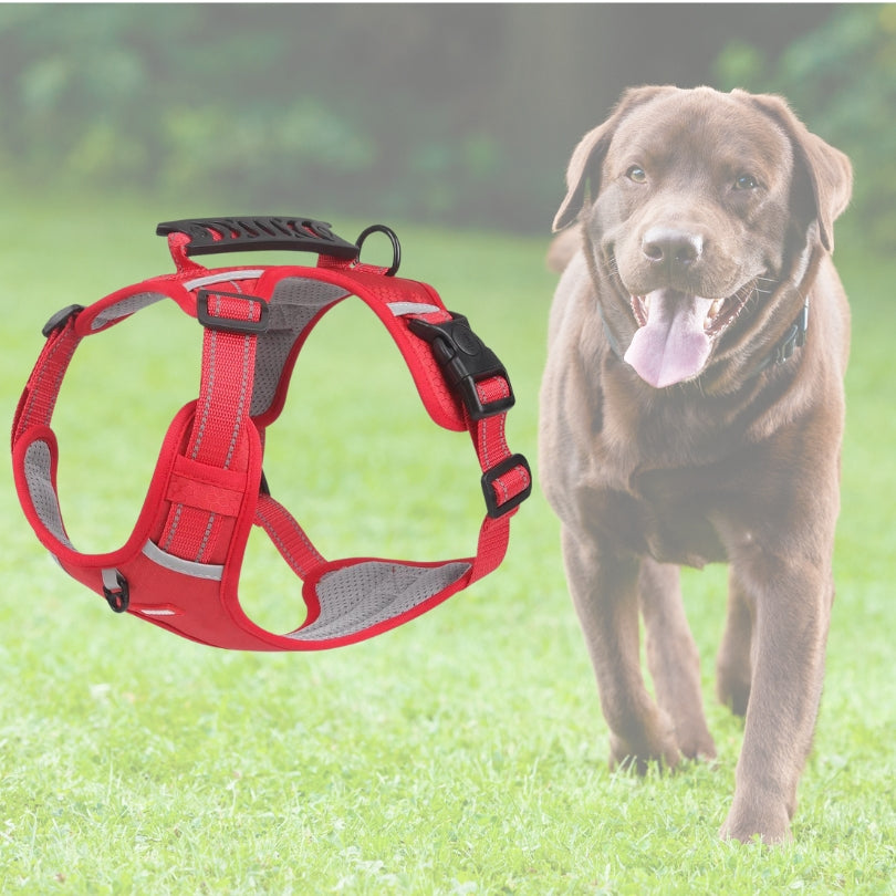 Harnais chien anti traction | Vixieprotec™ (Taille S)