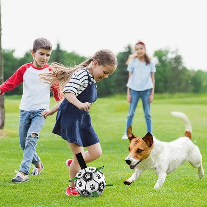 Balle pour chien | Dentaballe™