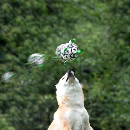 Balle pour chien | Dentaballe™