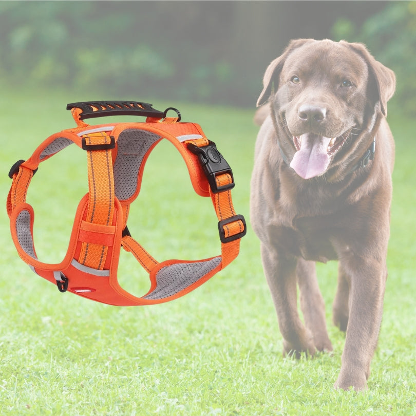 Harnais chien anti traction | Vixieprotec™ (Taille M)