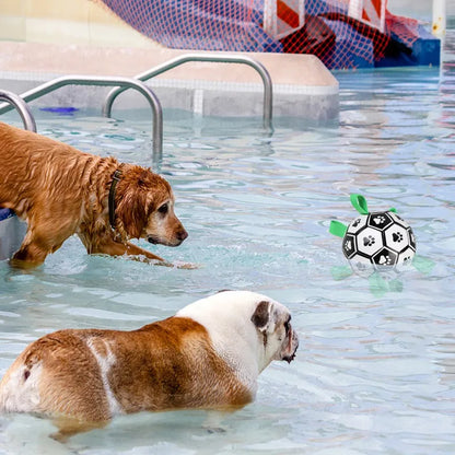 Balle pour chien | Dentaballe™