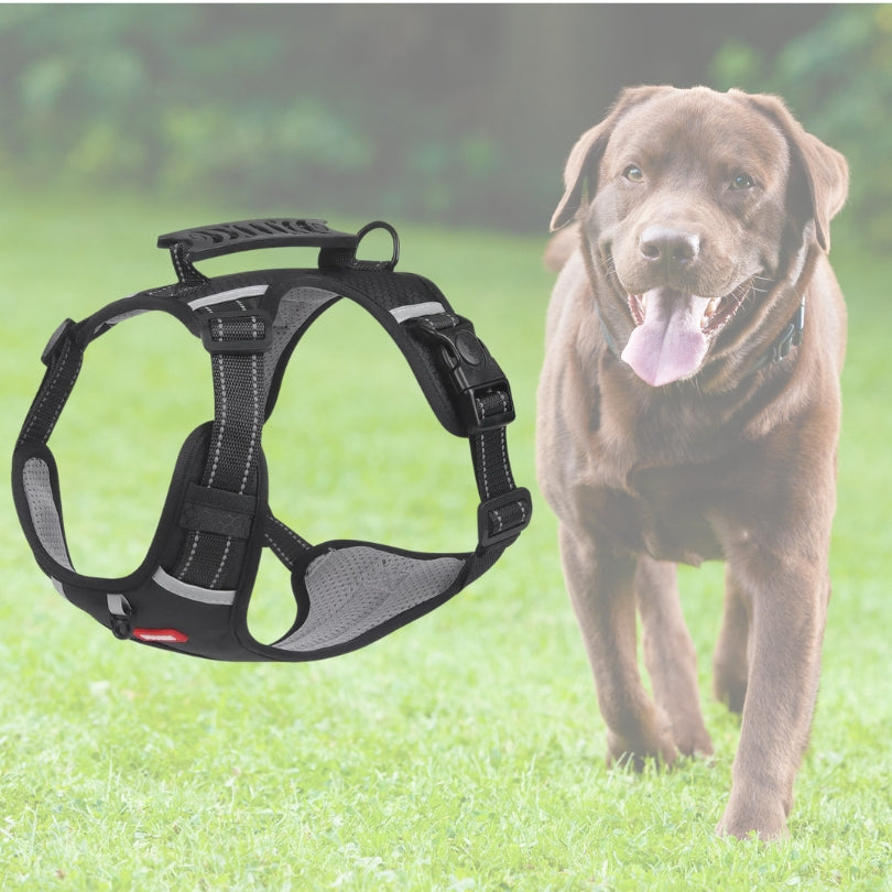 Harnais chien anti traction | Vixieprotec™ (Taille M)