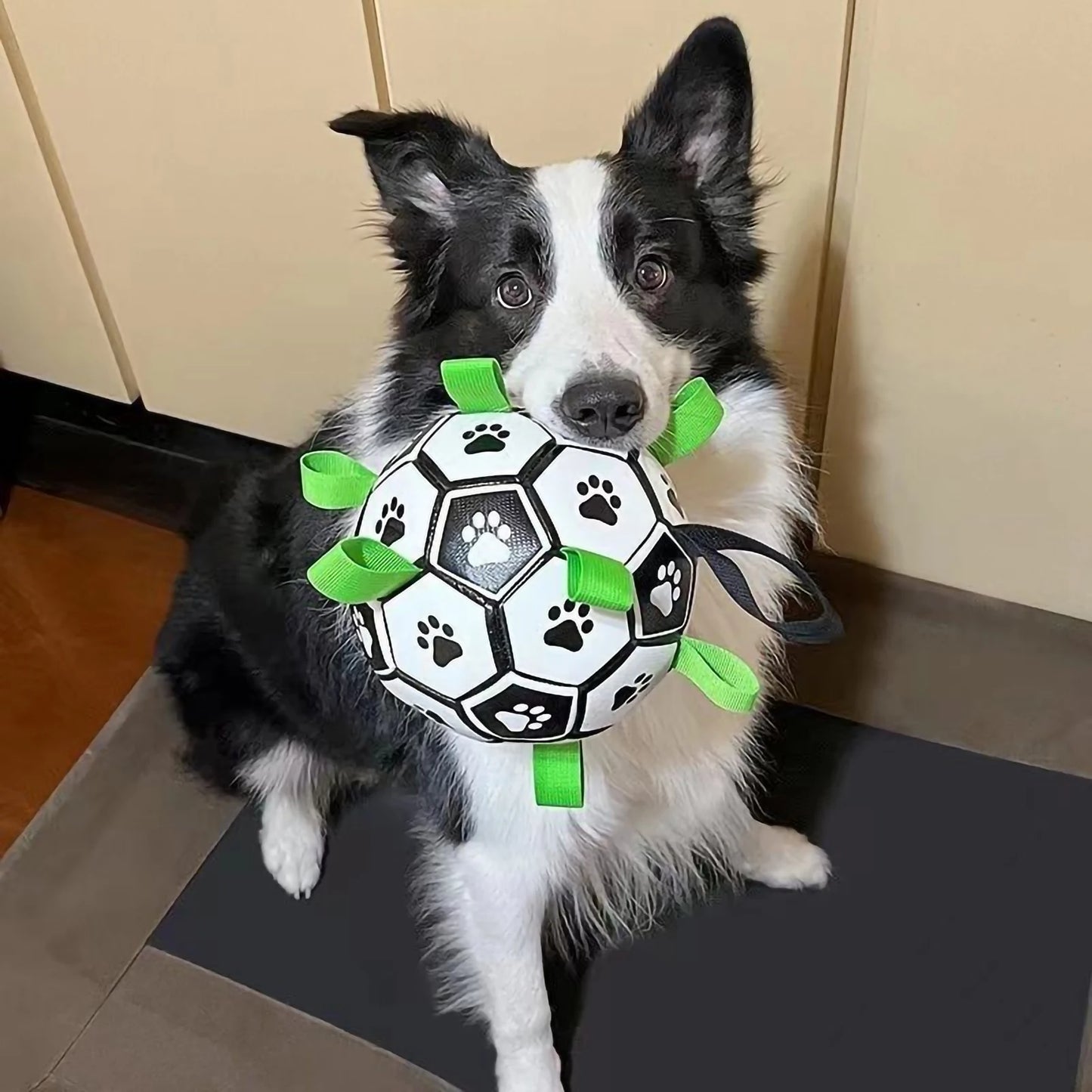 Balle pour chien | Dentaballe™