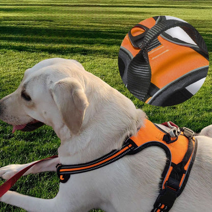 HARNAIS CHIEN ANTI TRACTION | SAFEWALK™ - Je Promène Mon Chien