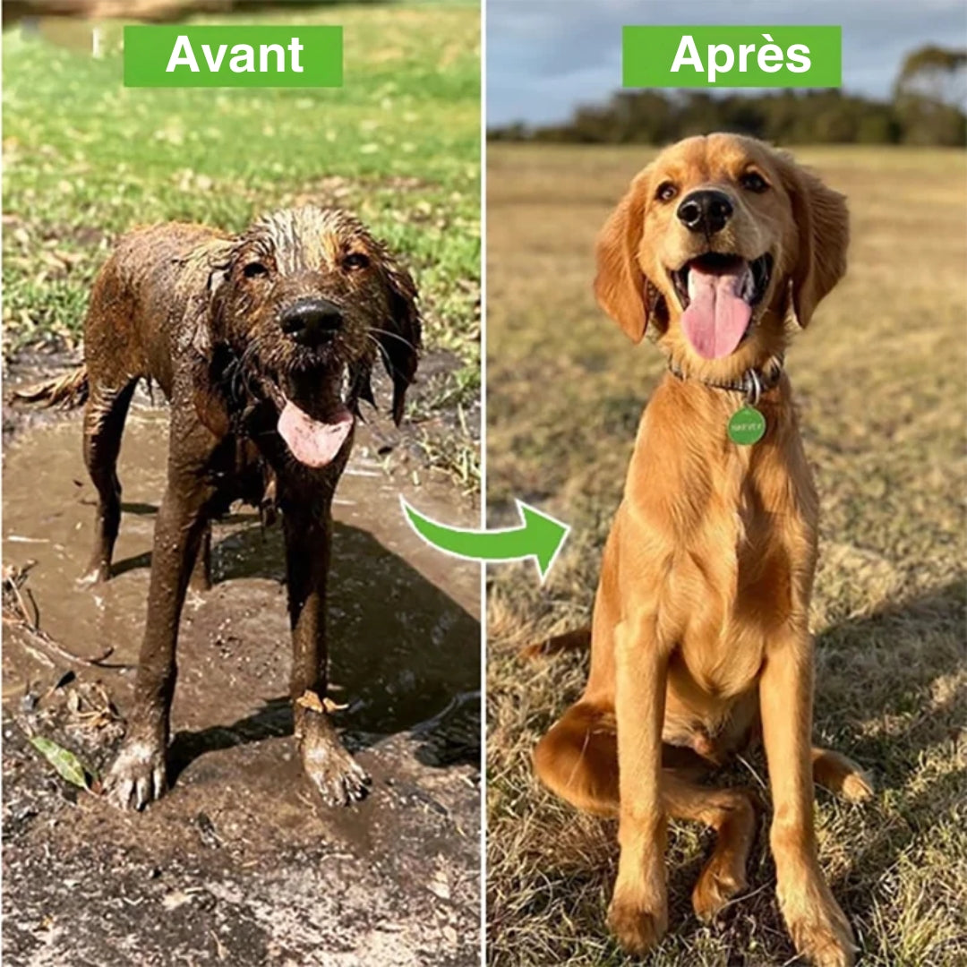 Pistolet de douche avec doseur | Pixielux™ - Je Promène Mon Chien