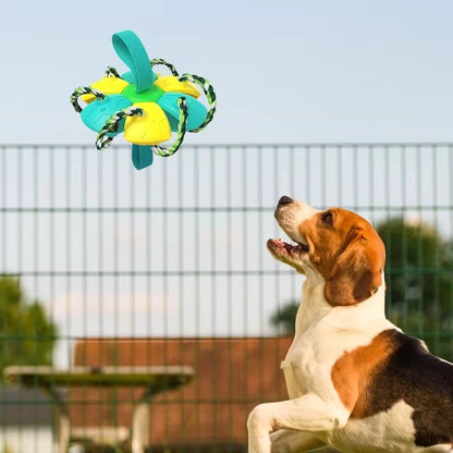 Balle pour chien | Extraballe™